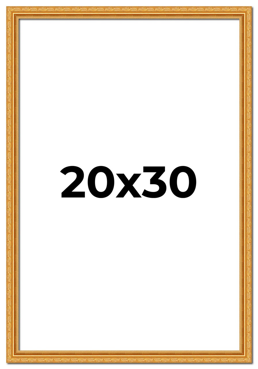 20x30 Museum-Quality Picture Frame with UV-Resistant Acrylic & Acid-Free Backing, Available in 4 Finishes - Gold, Silver, Bronze, and Black